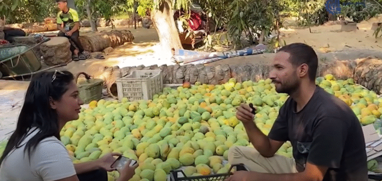 Screenshot 2025-09-10 121136